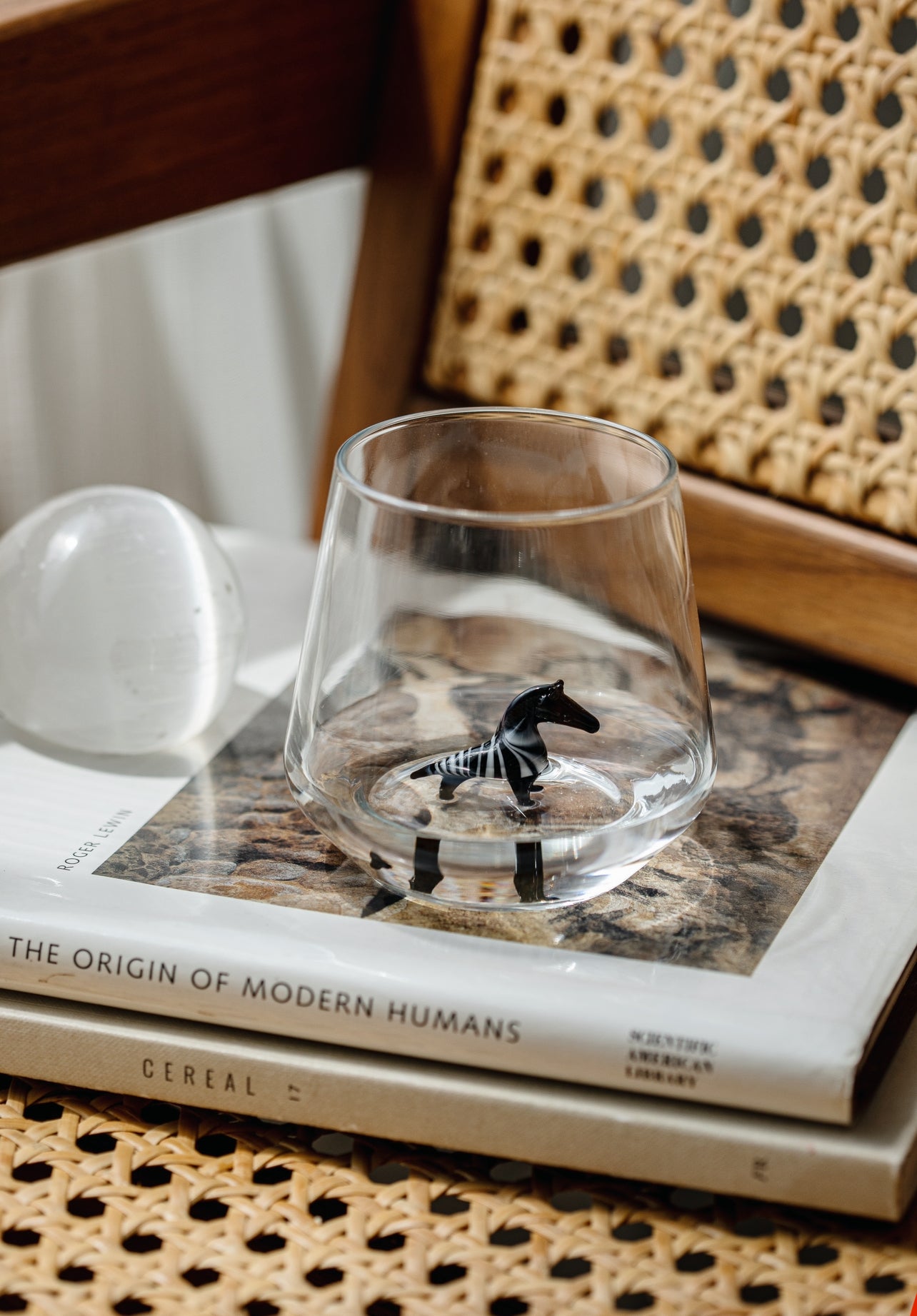 Zebra Glas