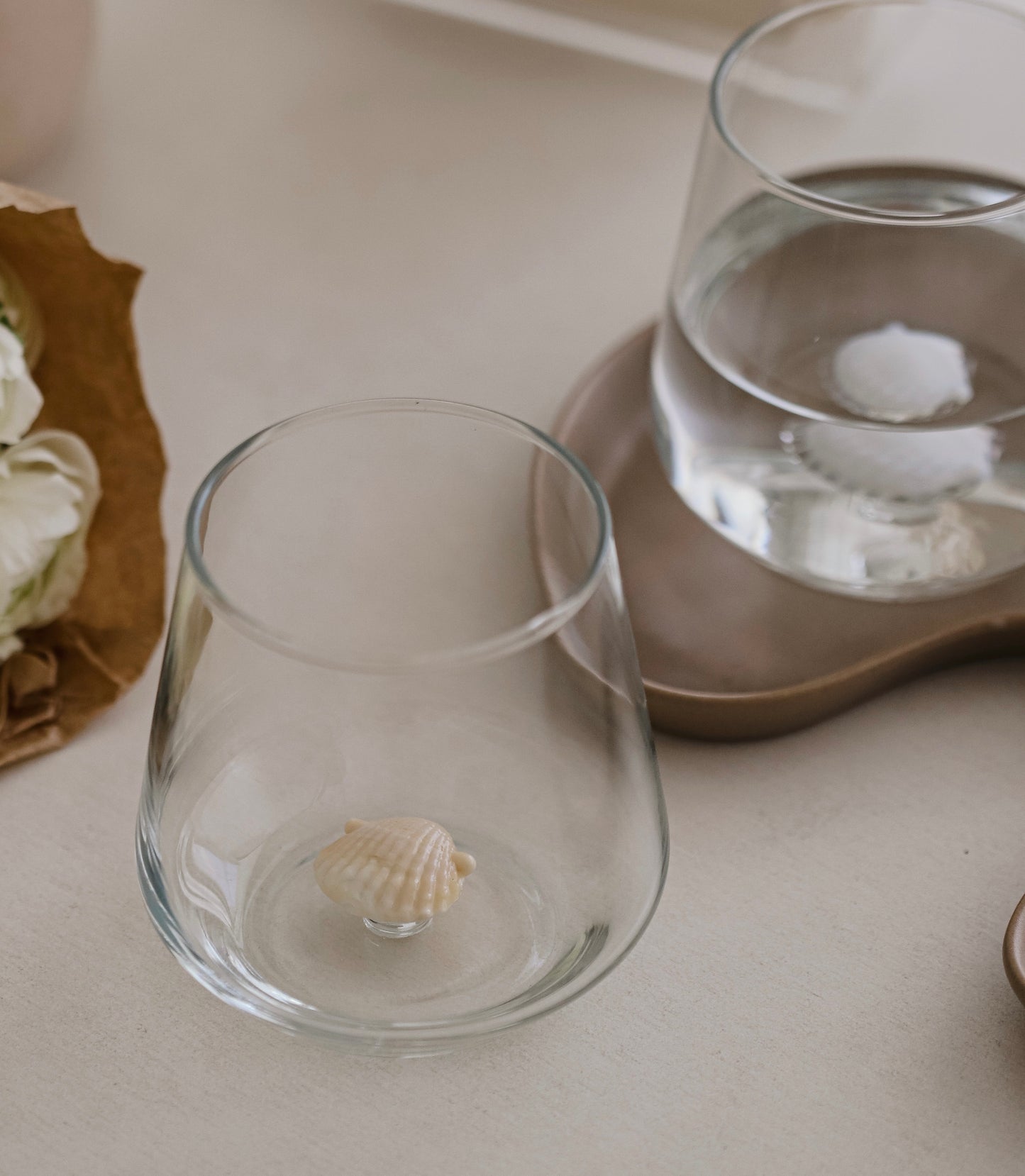 Muschel Glas