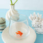 Nemo Glas