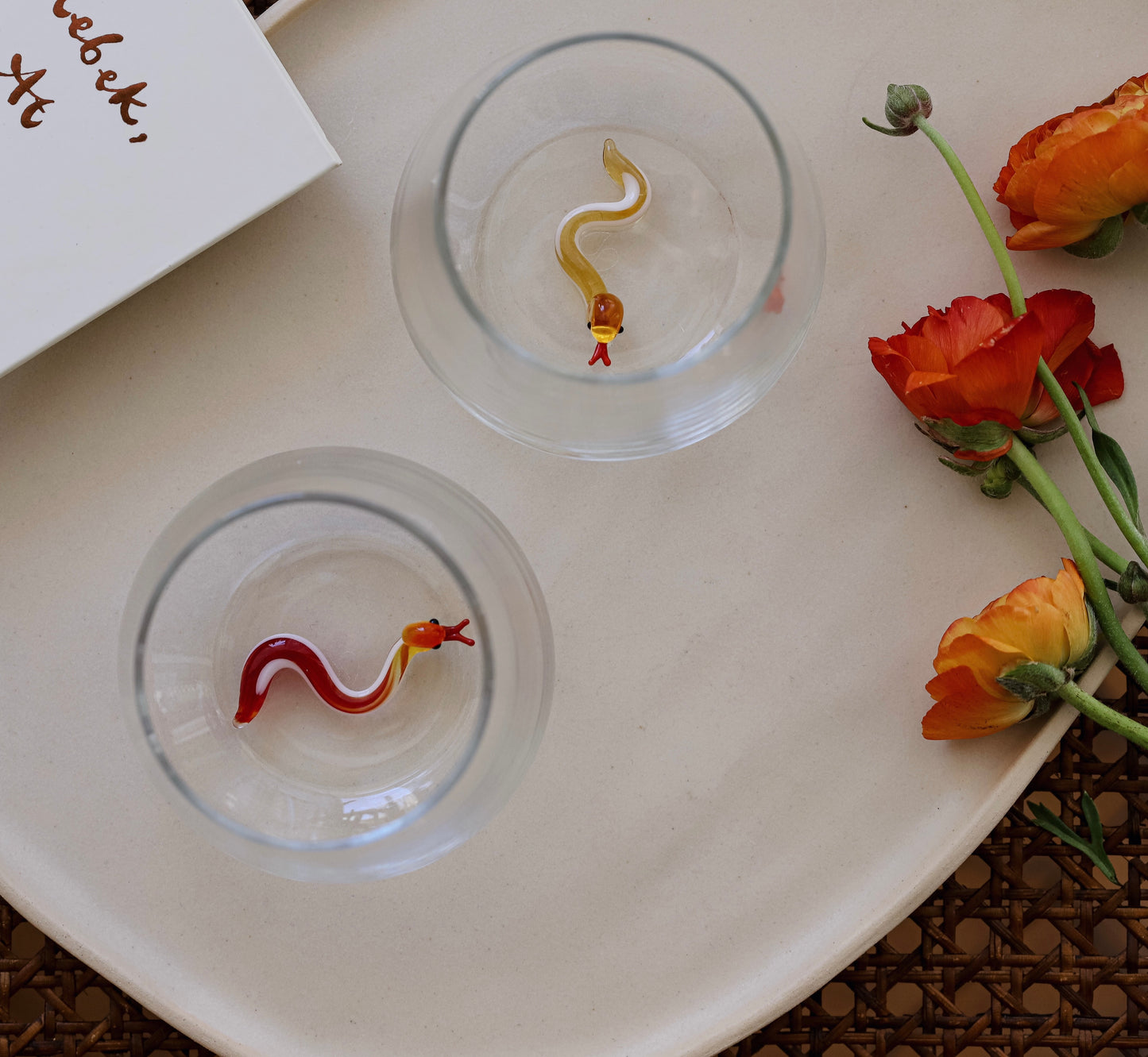 Schlange Glas