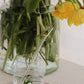 Frosch Glas